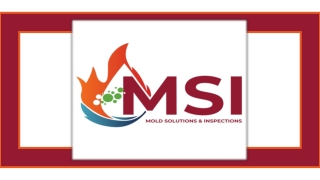 Water Damage Restoration Services You Can Trust -MSI