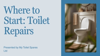 Where Should You Start with Toilet Repairs