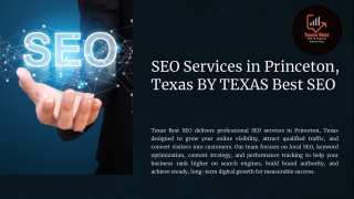 SEO Services in Princeton Texas by Texas Best SEO.pdf