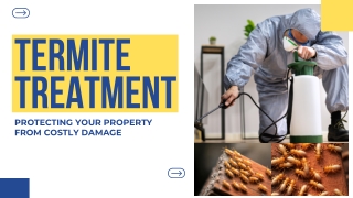 Termite Treatment: Protecting Your Property from Costly Damage
