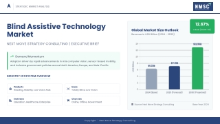 Blind Assistive Technology Market Inclusive Solutions Shaping the Future