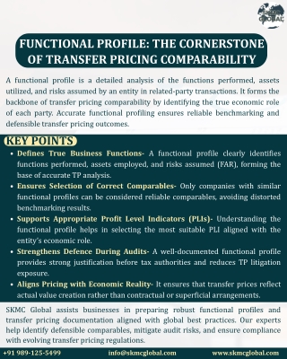 Functional Profile The Cornerstone of Transfer Pricing Comparability