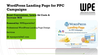 WordPress Landing Page For PPC – Conversion Focused Visual | WPExperts24x7