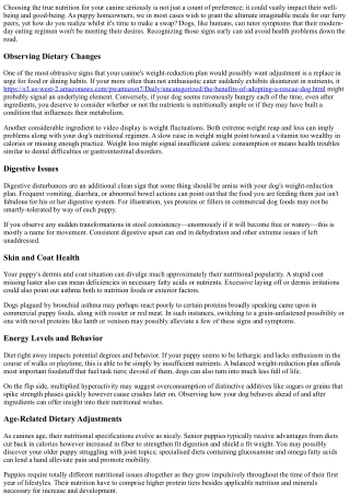 Signs That Indicate It’s Time To Change Your Dog's Diet.