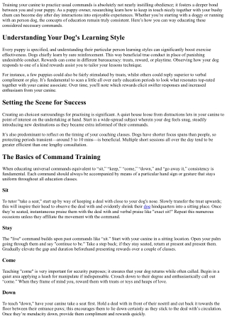 Training Tips for Teaching Your Dog Basic Commands