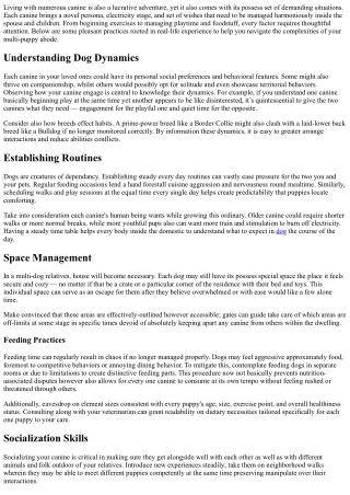 Best Practices For Managing Multi-Dog Households.