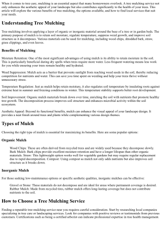 Tree Mulching Service Near Me: Benefits and Options