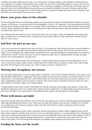 Turf Maintenance Checklist for Year-Round Health