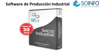 Software de Producción Industrial