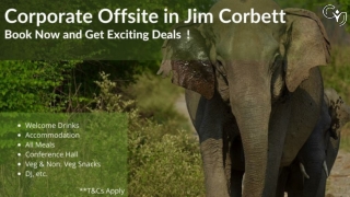 Best Corporate Offsite Venues in Jim Corbett – Plan with CYJ Events