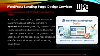 WordPress Landing Page Design Services – wpexperts24x7