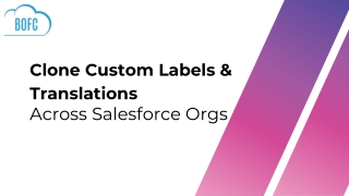 Clone Multiple Custom Labels with Translations