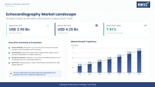 Echocardiography Market Growth Snapshot