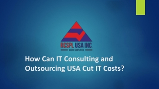 How Can IT Consulting and Outsourcing USA Cut IT Costs