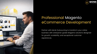 Professional Magento eCommerce Development Solutions