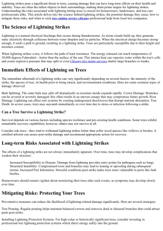 Lightning Hitting a Tree: Understanding the Risks and Prevention.