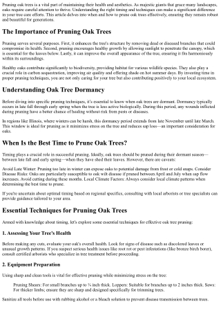 Pruning Oak Trees: Timing and Techniques for Success!