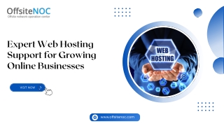 Expert Web Hosting Support for Growing Online Businesses
