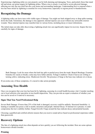 Lightning Struck Wood – What Can Be Done? A Guide for Homeowners.