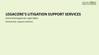 LITIGATION SUPPORT SERVICES