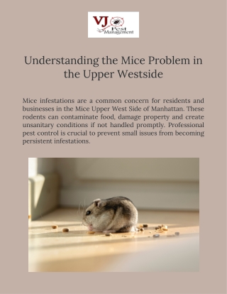 Effective Mice Control Solutions on the Upper West Side