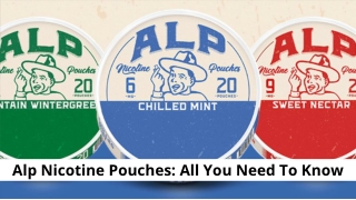 Alp Nicotine Pouches: All You Need To Know