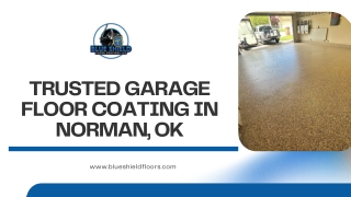 Professional Garage Floor Coating Solutions by Blue Shield Floor Coatings