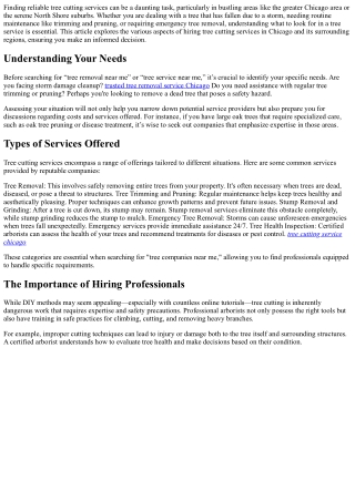 Tree Cutting Services Near Me: What You Should Know Before Hiring