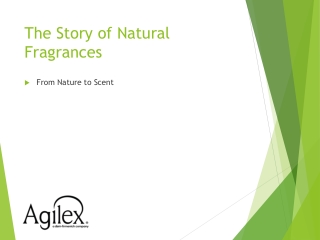 Role of a Natural Fragrance Company