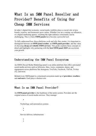 What Is an SMM Panel Reseller and Provider
