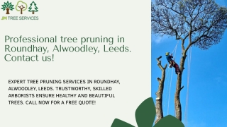 We Provide Professional tree pruning in Roundhay, Alwoodley, Leeds. Contact us!