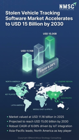 Can Advanced Tracking Software Reduce Theft Risks for Fleets and Private Vehicle