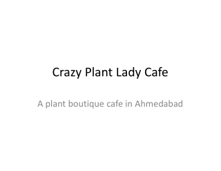 Crazy Plant Lady Café is a plant-inspired escape and one of the best cafes in Ahmedabad