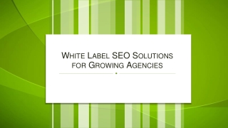 1. White Label SEO Solutions for Growing Agencies