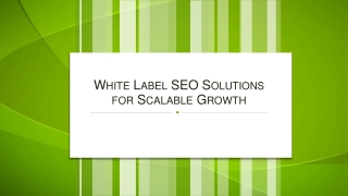 White Label SEO Solutions for Scalable Growth