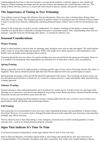 Best Time To Trim Tree Branches For Healthy Development.