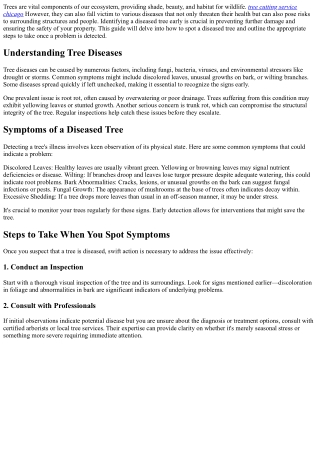 How To Spot A Diseased Tree And What To Do About It?