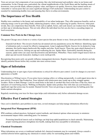 Tree Pest Control: Protecting Your Trees from Infestations