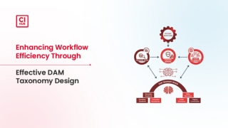 Enhancing Workflow Efficiency Through Effective DAM Taxonomy Design