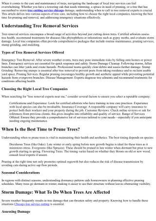 Tree Removal Experts Near Me: What You Need to Know