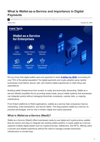 ment.tech-What Is Wallet-as-a-Service and importance in Digital Payments