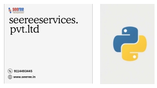 Best Python Training Classes in Bhubaneswar at Seeree