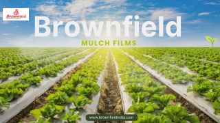 Mulch Films for Indian Farms: Improve Yield & Soil Health
