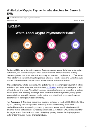 ment.tech-White-Label Crypto Payments Infrastructure for Banks  EMIs