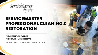 ServiceMaster Professional Trusted Cleaning & Restoration Services