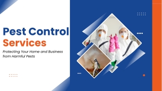 Pest Control Services: Protecting Your Home and Business from Harmful Pests