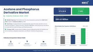 Acetone & Phosphorus Derivative Market: Growth Outlook