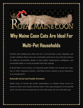 Why Maine Coon Cats Are Ideal For Multi-Pet Households