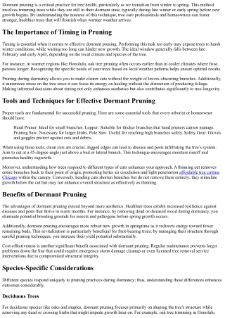 Dormant Pruning: Preparing Trees for Spring Growth