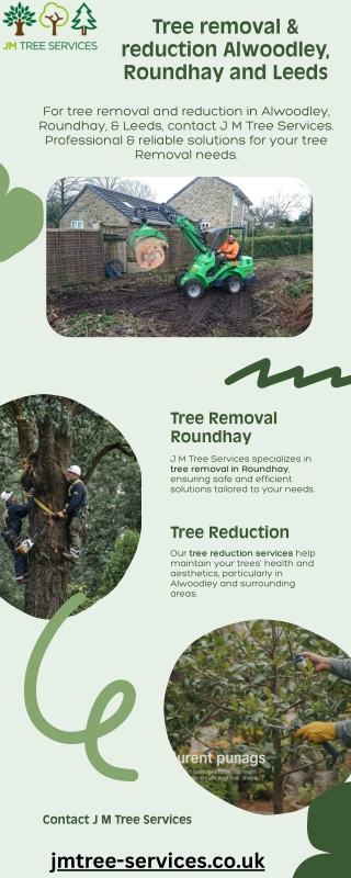 Best Tree removal & reduction Alwoodley, Roundhay and Leeds